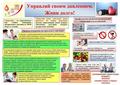 Областные профилактические проекты